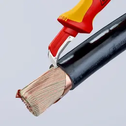 KN_IM0014501.jpg