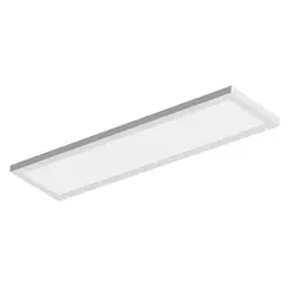 LDV_asset-13200048.jpg