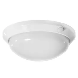 PAN_OLGA_S_OS_60_B.jpg