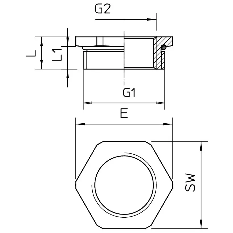 OBO_2088322_MZ2.jpg