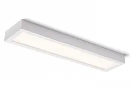 AUL_R12064_245023.jpg
