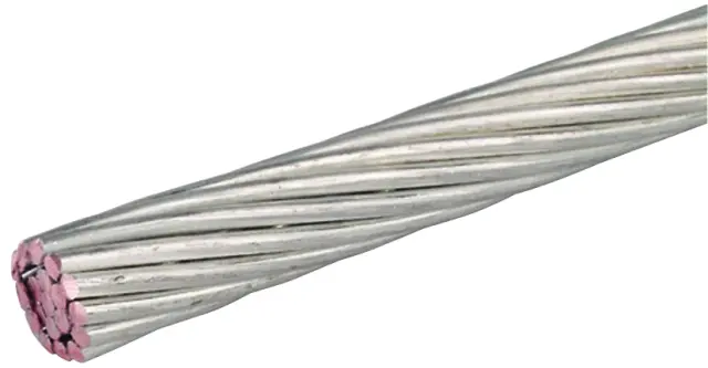 3413632_7715150.jpg