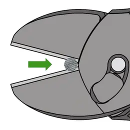 KN_IM0009978.jpg