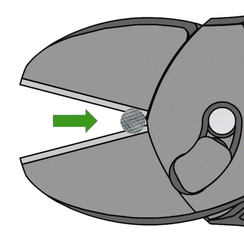 KN_IM0009978.jpg