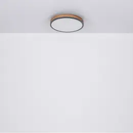 GLO_416080WD1R_5.jpg