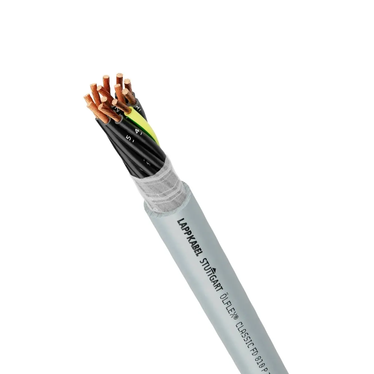 8R78aNRL9TAd-vfnKoM3urycdM0SPqj_NYQiP3wsOyA~.jpg