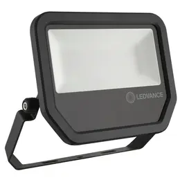 LDV_asset-8943475.jpg