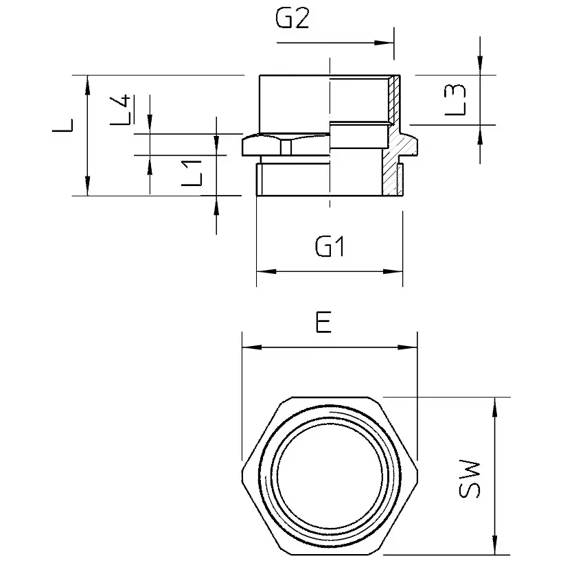 OBO_2088304_MZ2.jpg