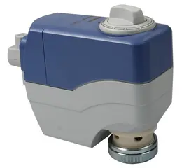 SSC31.jpg