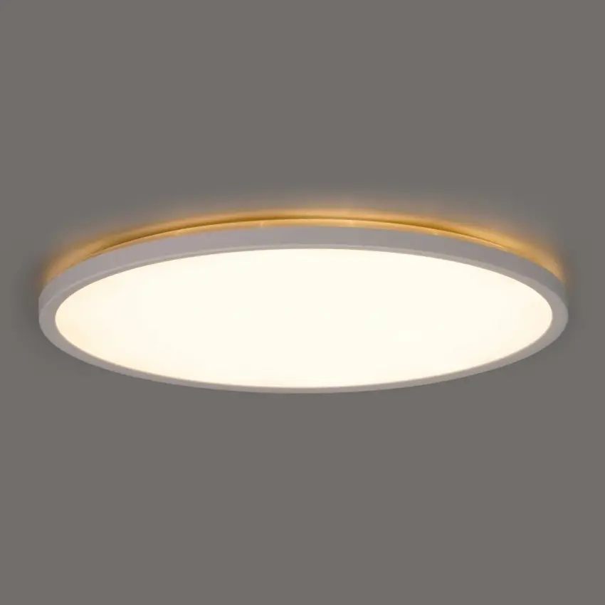 83737036_GREENLUX_Foto8.jpg
