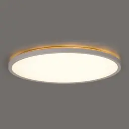 83737036_GREENLUX_Foto8.jpg