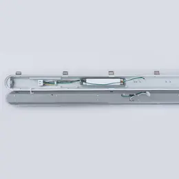 LDV_asset-13014074.jpg