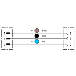 WM_PV_switching_scheme_male_3_female_3.jpg