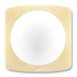 ABB_3299A-A02100_D.jpg