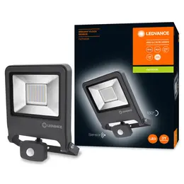 LDV_asset-9158413.jpg