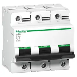 SCH_PB107919.jpg