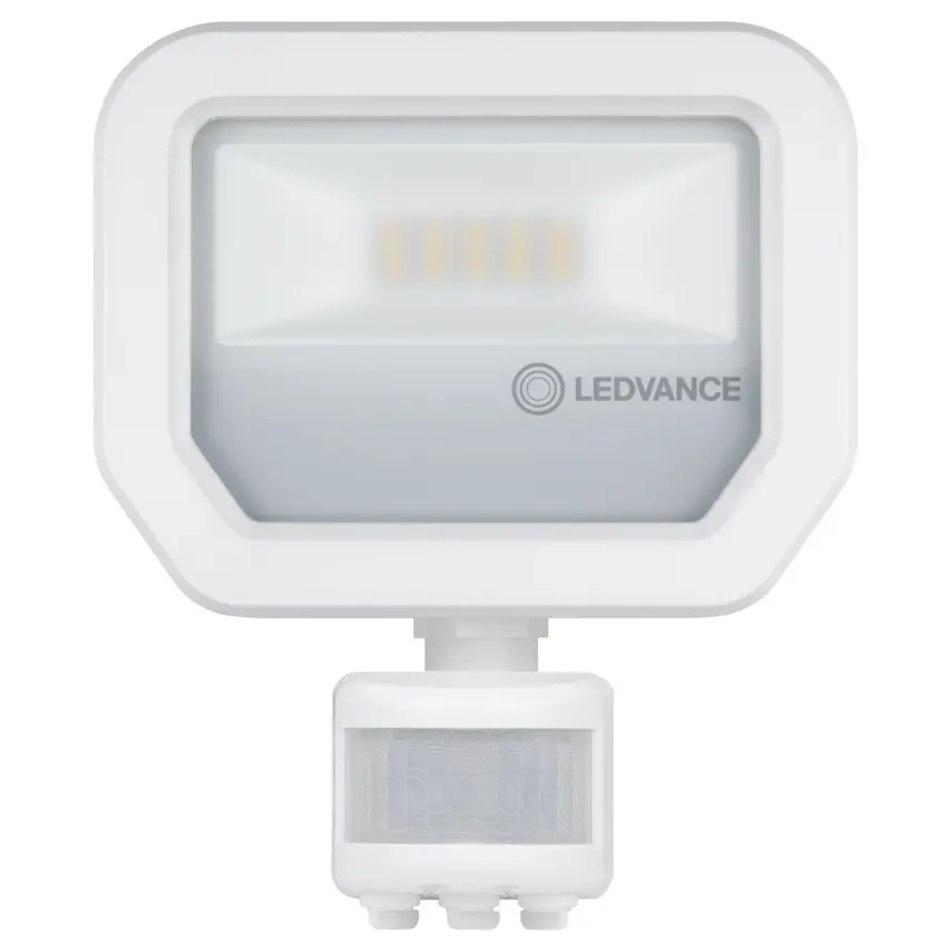 LDV_asset-9903775.jpg
