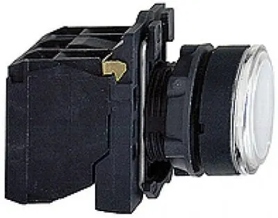 SCH_101295.jpg
