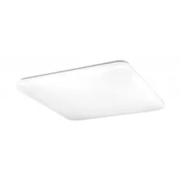 m_149028.jpg