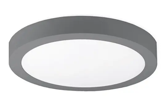 AUL_disc-surface_gy.jpg