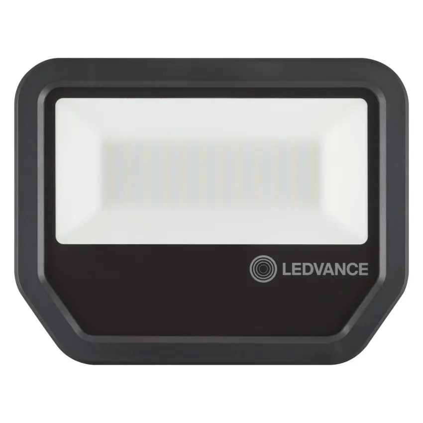 LDV_asset-8943476.jpg