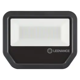 LDV_asset-8943476.jpg