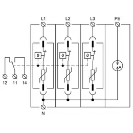 HAK_ID_T1-T2-T3-31MS.jpg