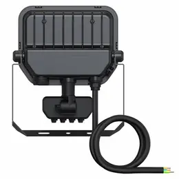 LDV_asset-13210534.jpg