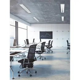 SYL_App_Rana_Neo_1200x300_surface.jpg