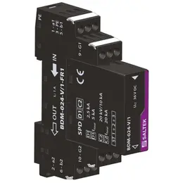 SAL_F_BDM-006-V_1-FR1.jpg