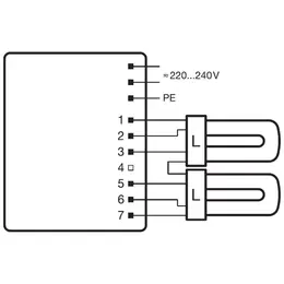 LDV_asset-286678.jpg