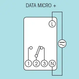 ELEM_810_3.jpg