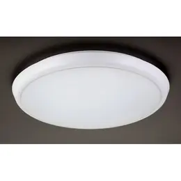 m_56311.jpg
