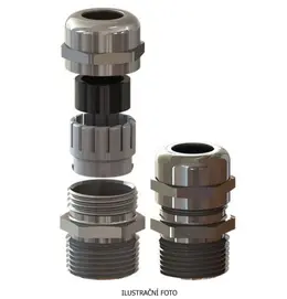 ELQ_BMSC-02_ilustr.jpg