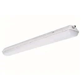83725684_TREVOS_Foto2.jpg