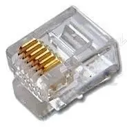 CEI_100016.jpg