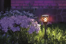 SYL_APP_0054044-2.jpg
