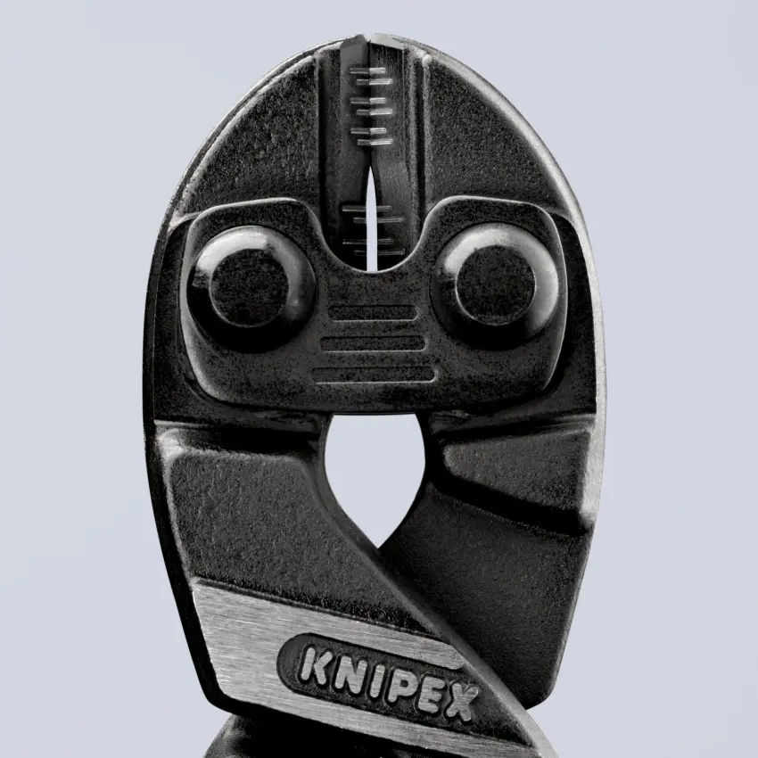 KN_IM0015182.jpg