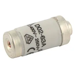 MSCH_42998280.jpg