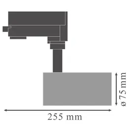 LDV_asset-3152908_size.jpg