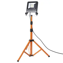 LDV_asset-6999023.jpg