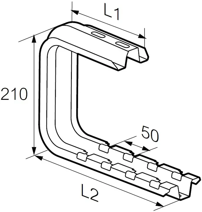 LEG_CSNC_size.jpg