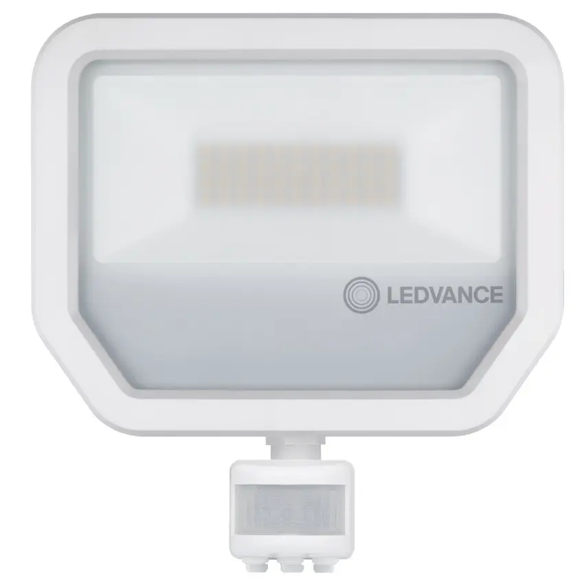 LDV_asset-9883204.jpg