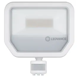 LDV_asset-9883204.jpg