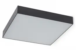 AUL_R13490_246673.jpg