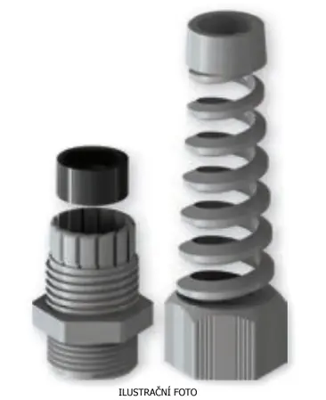 ELQ_BSSP-21_ilustr.jpg