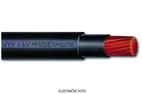 ACS_013010_ilustr.jpg