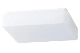 OS_TILIA_1.jpg