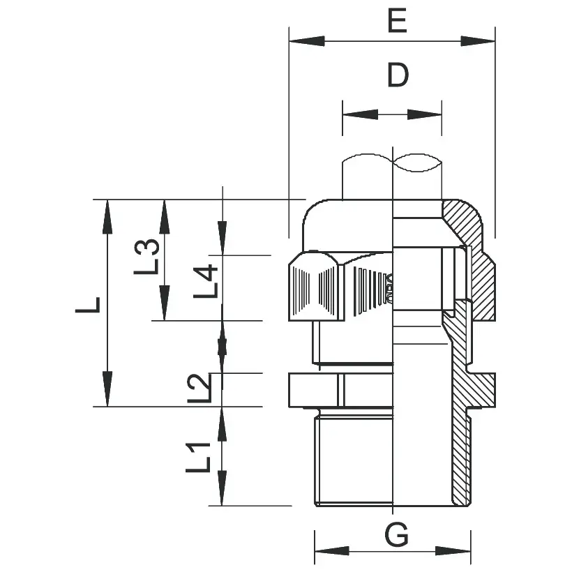 OBO_2050137_MZ1.jpg