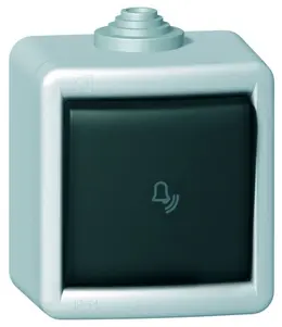 QE_spinac_281_1A.jpg
